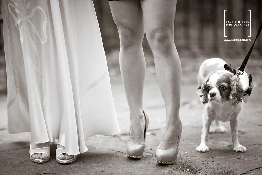 An Irresistible Ring Bearer photographed by Laurie Rhodes