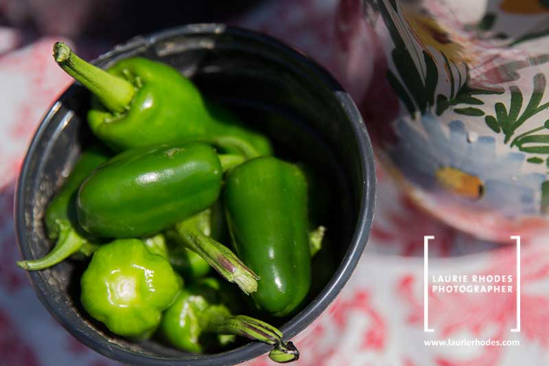 Peppers from Mary Cleaver's new farm! - photo by Laurie Rhodes - 5
